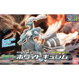 BANDAI 組立模型 精靈寶可夢 神奇寶貝 #28 焰白酋雷姆 POKEMO