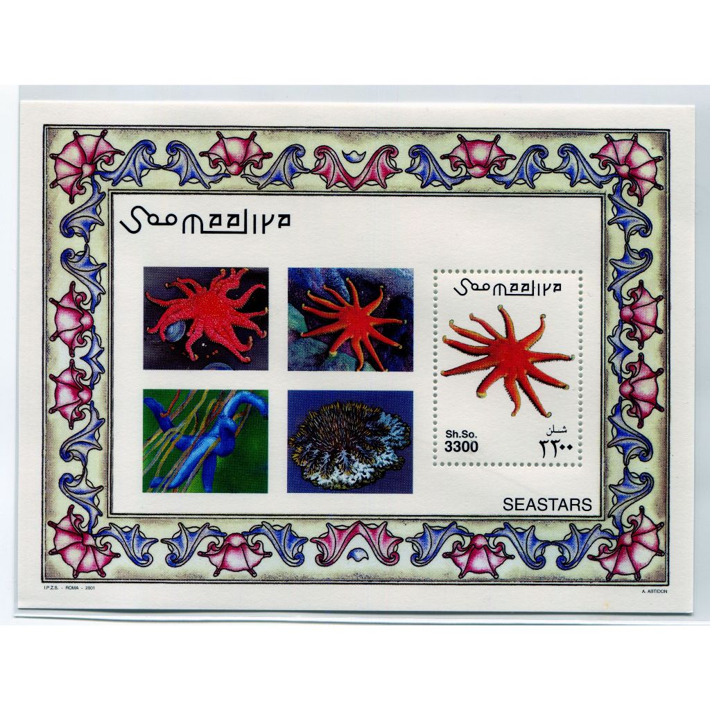 (集郵方寸，暢遊萬象) 外國郵票_索馬利亞 2001 海星 小型張_1全 上品