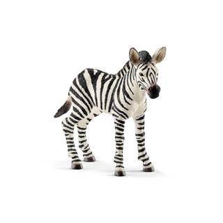 Schleich 史萊奇 小斑馬 SH14811