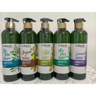 💥屈臣氏Naturals洗髮露 橄欖/薰衣草/堅果/咖啡/茶樹/迷迭香 490ml