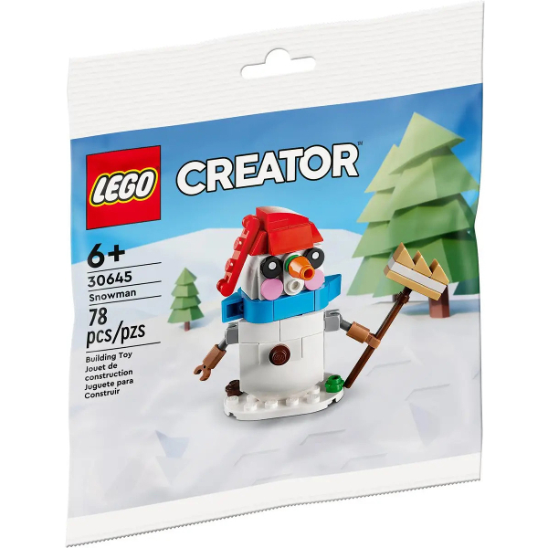 台南 LEGO CREATOR 創意系列 30645 雪人