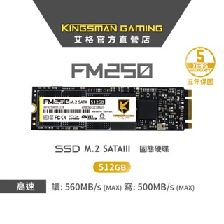 【AITC】艾格 KINGSMAN FM250 SSD 512GB M.2 2280 SATAIII 固態硬碟