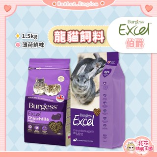 花花萌寵王國🎀 Burgess Excel 伯爵 龍貓飼料 薄荷鮮味 龍貓主食 絨鼠飼料 栗鼠飼料 毛絲鼠飼料 龍貓糧