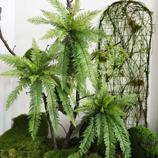😇模擬手感蕨類😇蕨類植物 波斯草 家居植物 婚慶植物 造景裝飾 植物牆 蕨類配材 綠色植物