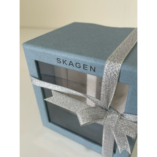 原廠錶盒專賣店 SKAGEN 錶盒 B029