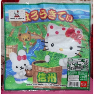 全新未使用 Sanrio 三麗鷗 Hello Kitty 凱蒂貓 日本 地區限定 信州 小方巾 方巾 小毛巾 毛巾