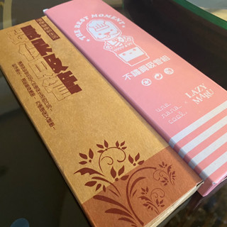 環保 不鏽鋼個人吸管組