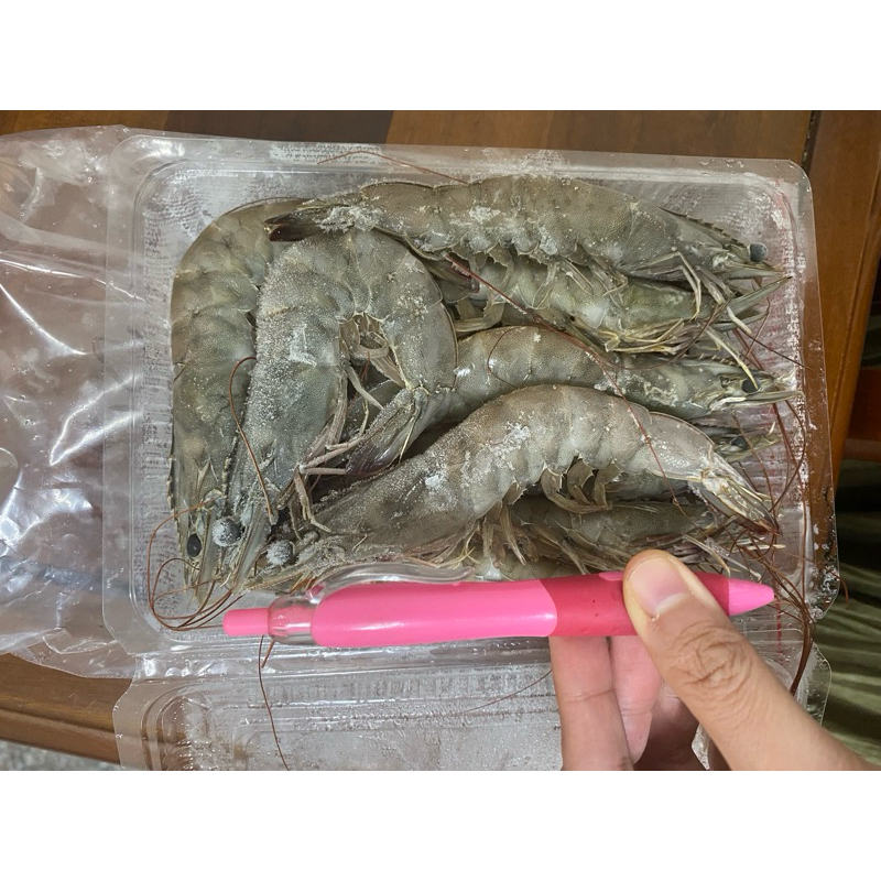 台南學甲新鮮養殖白蝦