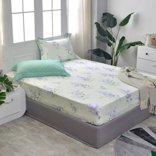 La Belle 100%純棉 床包枕套組 雙/加/特 格蕾寢飾 紫陽春氛