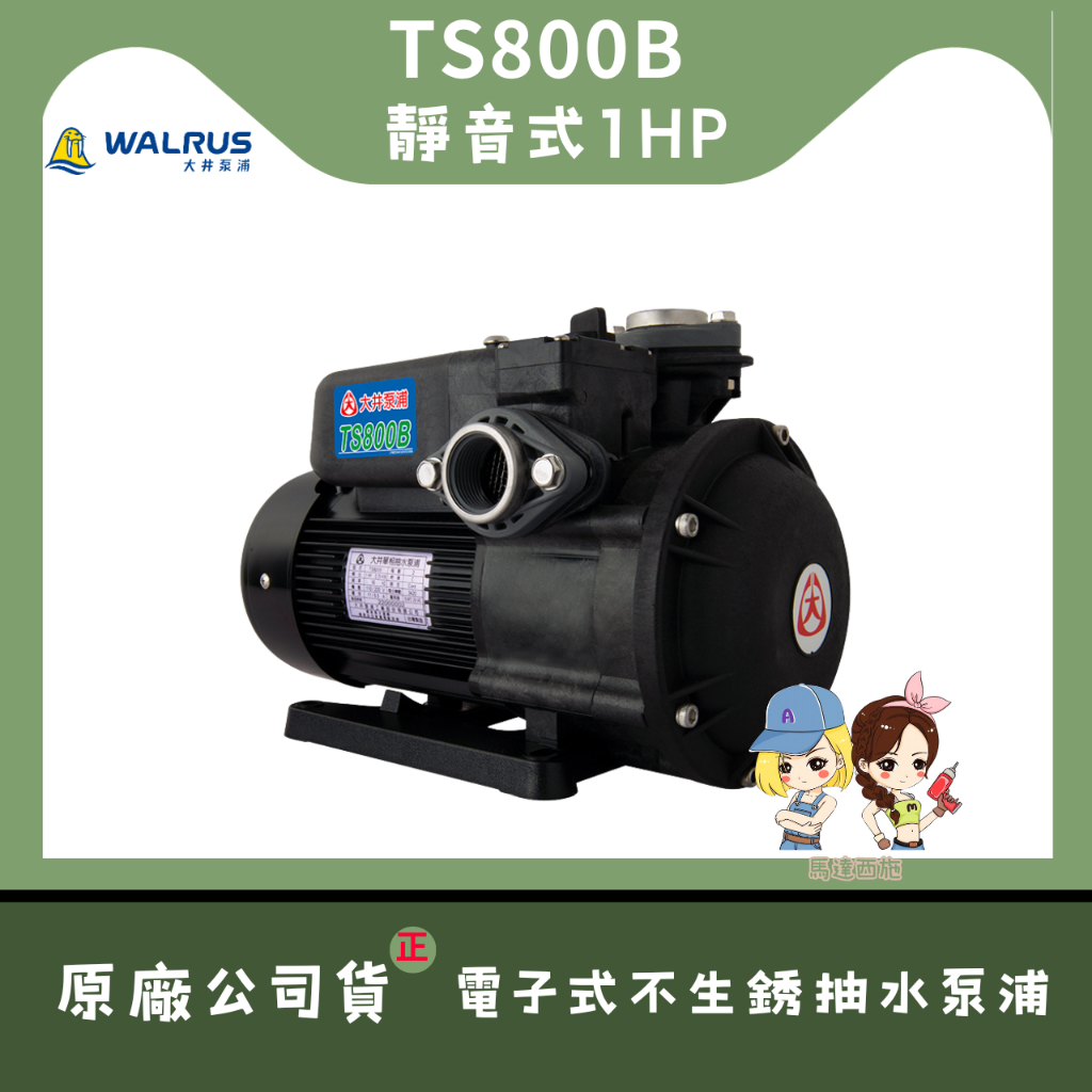 【馬達西施-大井 TS800B】★聊聊價、林口新創自取優惠★ 靜音不生銹 1HP 抽水馬達 抽水機