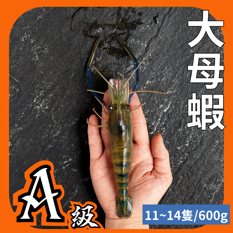 【黑豬泰國蝦】大母蝦1斤約11~14隻/活蝦鮮凍