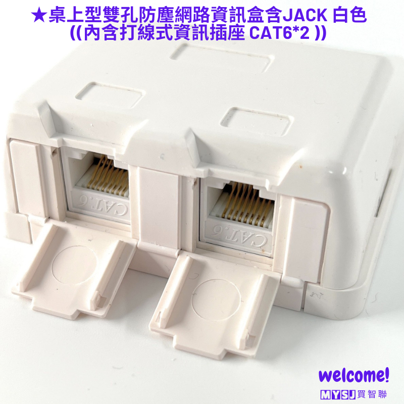 桌上型雙孔防塵網路資訊盒含JACK 白色 ((內含打線式資訊插座 CAT6*2 ))