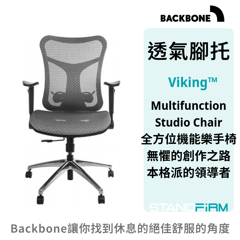 Backbone Viking 人體工學椅 台灣品牌 工作椅 家居 電腦椅 椅子 可調節 升降扶手頭枕