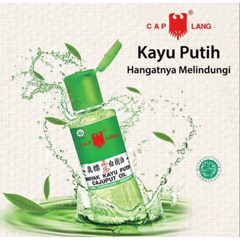 印尼 白樹油 Minyak kayu putih