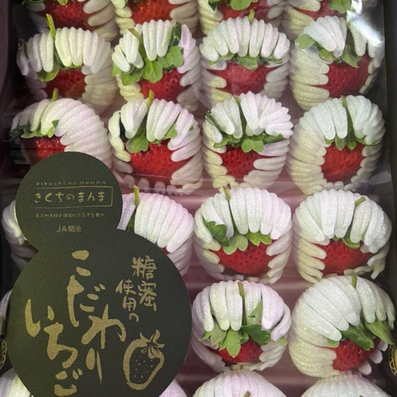【日本熊本 菊池糖蜜草莓】完售明年見 過新年日本最頂級草莓  口感紮實 香味濃郁 屬高甜度草莓 24入-32入 隨機出貨