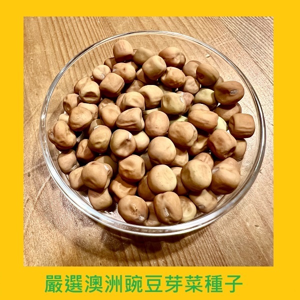 台灣PIH嚴選★碗豆豌豆苗芽菜種子 保證發芽率90%以上 種子-防潮防濕袋-澳洲