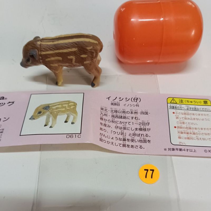 Furuta 海洋堂 日本寵物動物 巧克力蛋（ 豬）061C橘77號