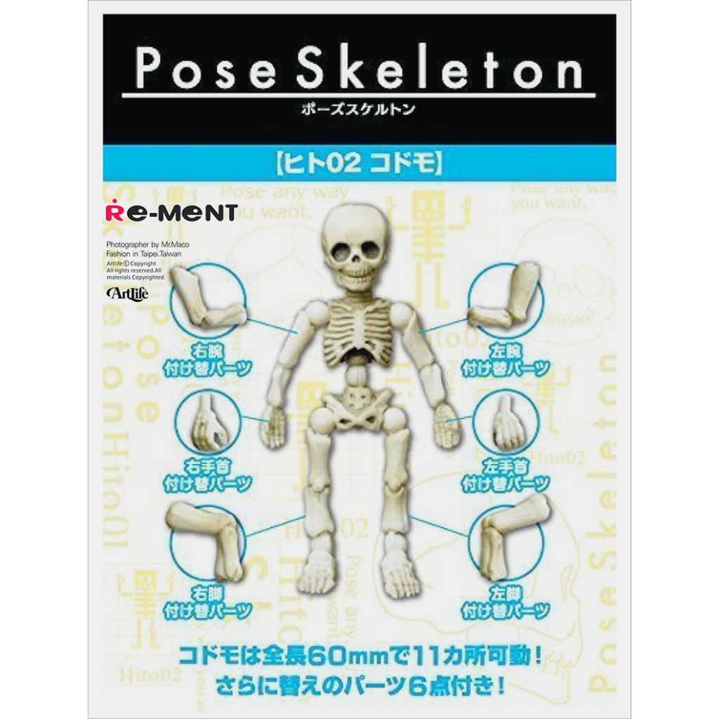 ArtLife @ RE-MENT 2014 Pose Skeleton ヒト02 ポーズスケルトン 骷髏人