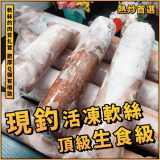 【潮鮮世代】年菜必備現釣活凍軟絲6A生食級／生食級／現釣活凍軟絲／活凍軟絲／野生軟絲／軟絲／軟翅仔／軟體／熱炒／快炒