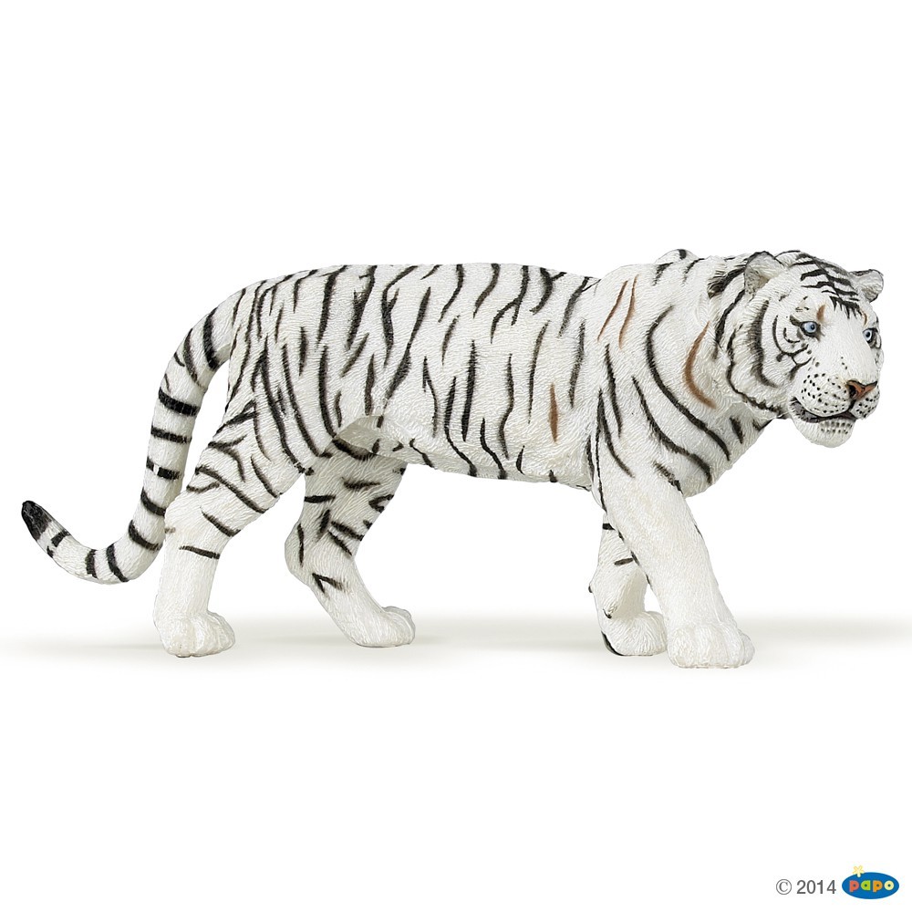 動物模型 PAPO 50045 白老虎 白虎 虎