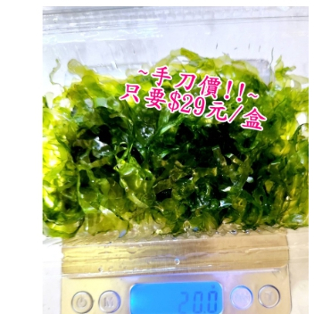 怪蕨莫絲 (($29元/超低價)) 莫斯水草 莫絲 默絲 水草莫斯 水草造景 魚缸【怪蕨莫絲/水中葉狀態出貨】無藻無螺