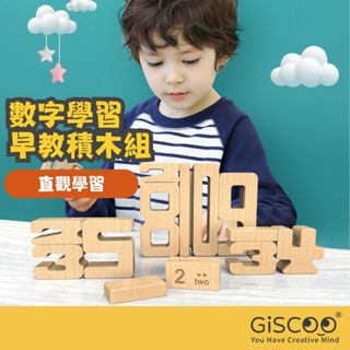【Giscoo】數與量學習套組 兒童節 商檢通過 現貨 兒童玩具 早教益智 數學教具 STEAM