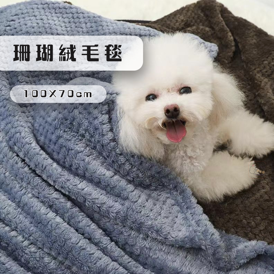 【町町】貝貝絨 波羅格珊瑚絨毛毯100X70cm 犬貓適用 狗狗毛毯 寵物毛毯 貓咪毛毯 寵物棉被 保暖毯