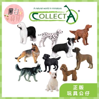 【台灣現貨】collectA動物模型 貴賓狗 大麥町 德國狼犬愛爾蘭雪達 拉不拉多 牛頭梗 牧羊犬 雪橇犬 大丹狗