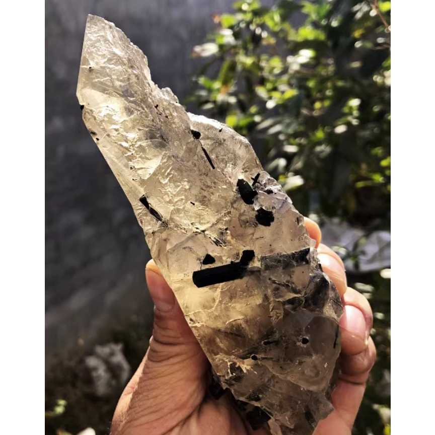 天然馬達加斯加黃水晶冰糖骨乾水晶標本原石黑碧璽共生