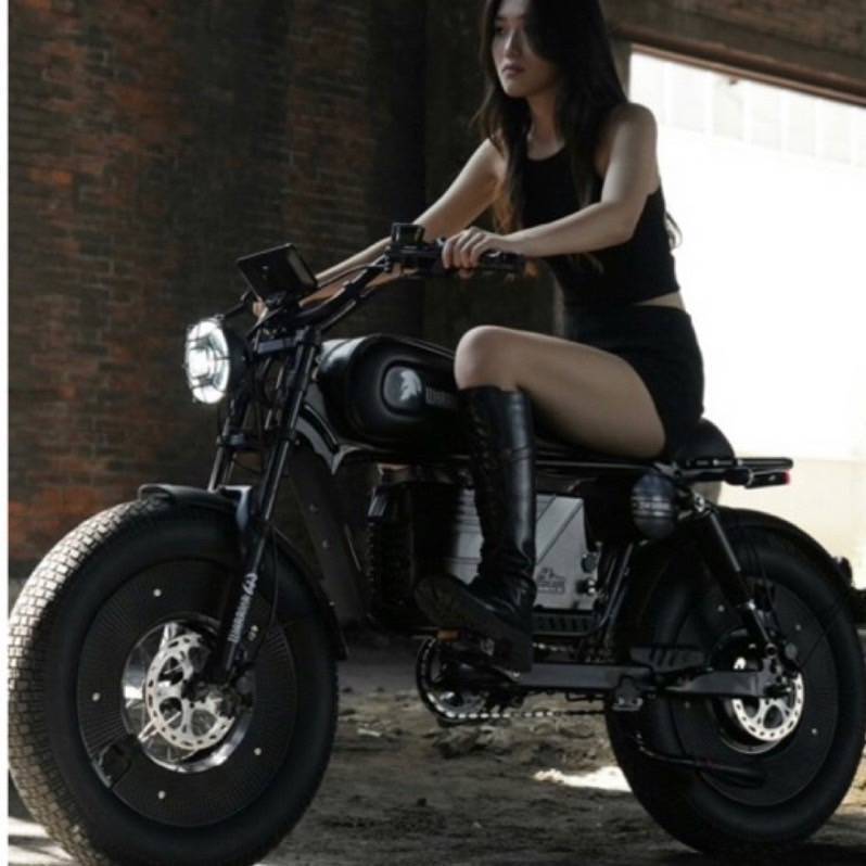 最新款warriors 1500w 電動自行車 黑武士 電動輔助自行車