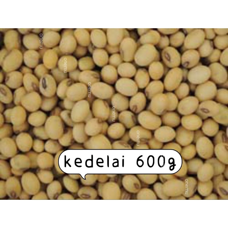 Kedelai 黃豆 基改 600g