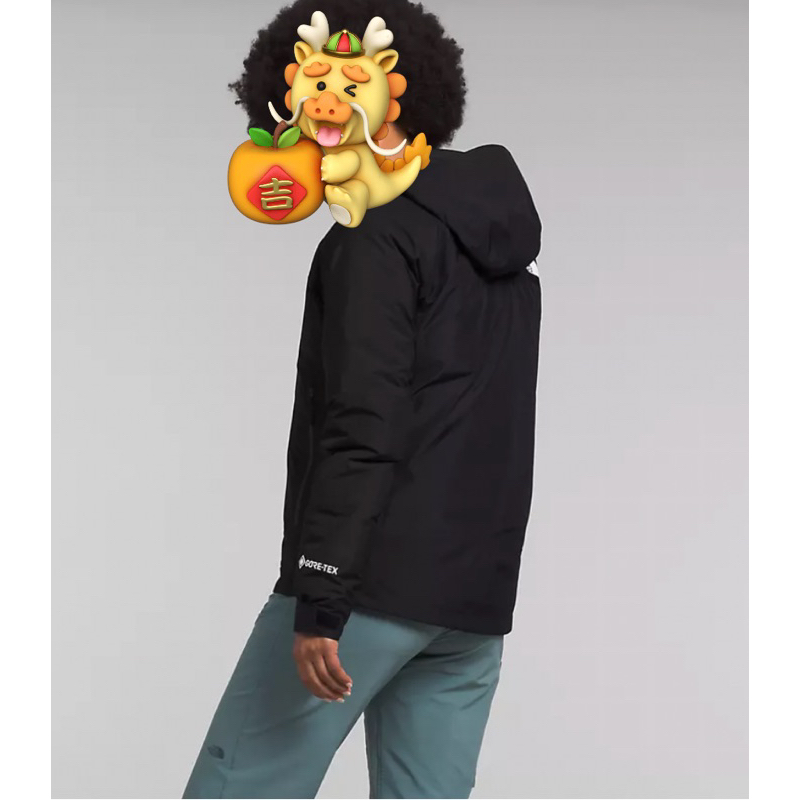 [全新正品]the North Face 北面女款三合ㄧ登山外套GORE-TEX® Jacket 衝鋒衣夾克