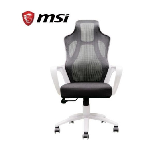 電競神兵 辦公也型 微星MSI PH110 龍魂工學椅 電競椅 白龍網椅 全新未拆未使用