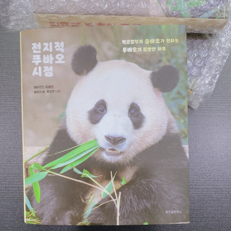 UME❤SHOP 韓國 愛寶樂園 Panda 熊貓福寶自傳 【正韓現貨】