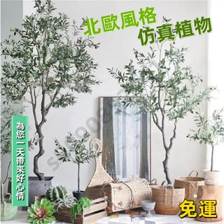 【限時特惠 免運含稅】北歐簡約模擬綠植盆栽橄欖樹落地大型假植物傢居辦公裝飾擺設假樹 模擬盆栽 室內植物 花 植物 植栽