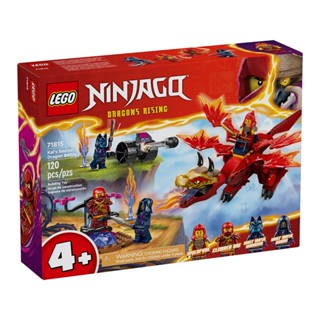LEGO樂高 71815 Ninjago 旋風忍者系列 - Kai"s Source Dragon Bat