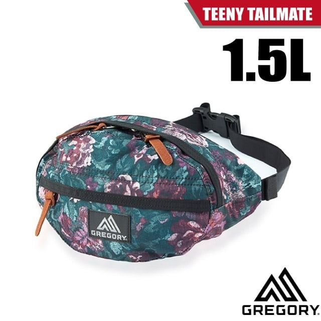 【美國 GREGORY】送》輕量耐磨運動腰包 1.5L TEENY TAILMATE 胸包 臀包 登山旅行_119651