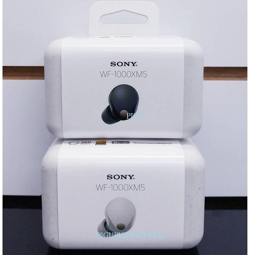 [ 平廣 送袋現貨台灣公司貨保 SONY WF-1000XM5 藍芽耳機 真無線 降噪 5代 AI麥克風收音 6麥克風