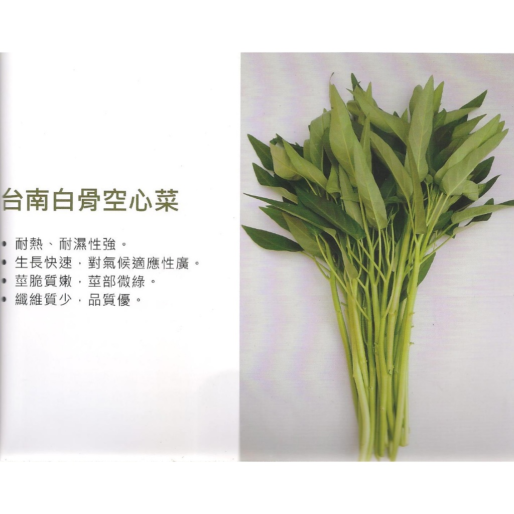 【蔬菜種子S130】白骨空心菜~生長快速，耐熱、耐濕性強，對氣候適應性廣，莖脆質嫩，莖部微綠，纖維質少，品質優。