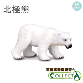 collectA 北極熊 英國高擬真模型