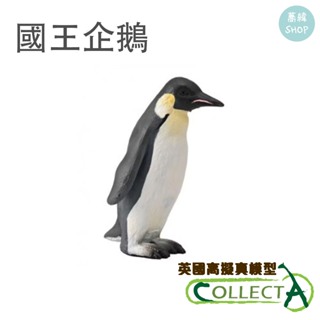 collectA 國王企鵝 英國高擬真模型