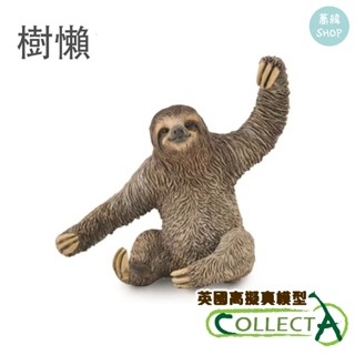 collectA 樹懶 英國高擬真模型