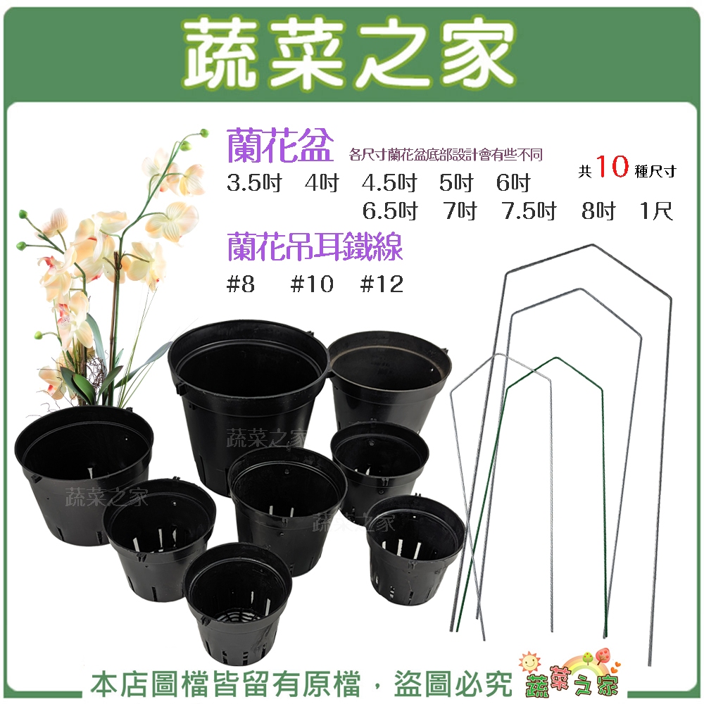 【蔬菜之家滿額免運】蘭花盆 蘭花吊耳鐵線│7吋 7.5吋 8吋 1尺 (賣場亦有販售3.5吋~6.5吋蘭花盆)