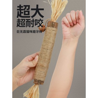 🐕‍🦺臺灣現貨🐕‍🦺巨無霸木天蓼磨牙棒 貓咪磨牙玩具 木天蓼 蟲癭果 貓咪口腔清潔 貓玩具 貓咪耐咬玩具 貓咪潔牙 貓草