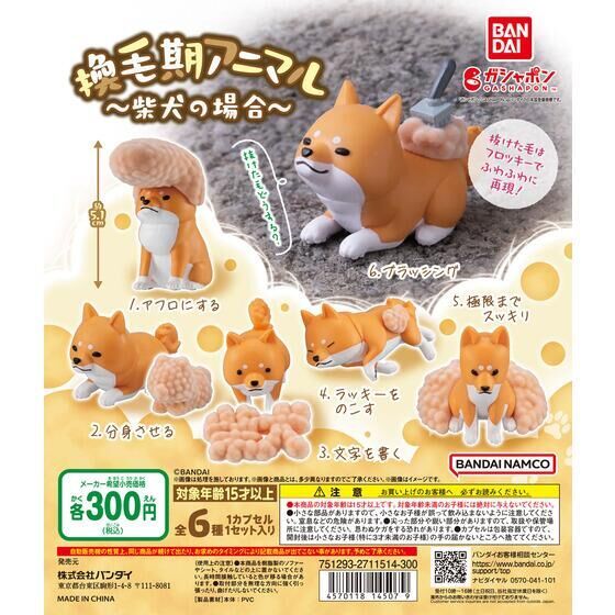 『現貨』換毛期的柴犬　 BANDAI　扭蛋   轉蛋   【蛋樂寶】