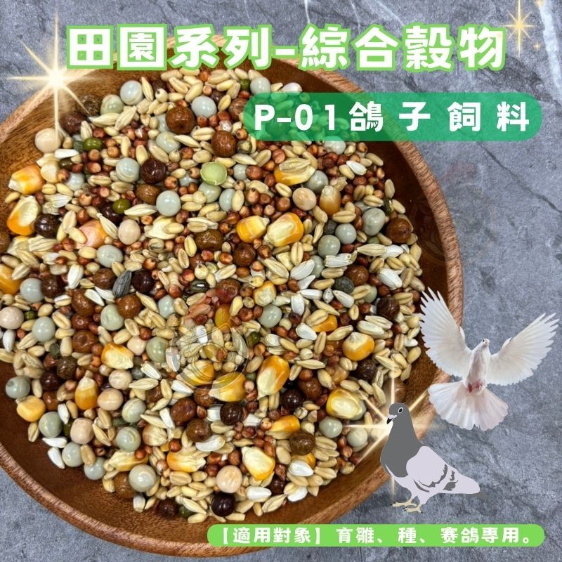 《綜合穀料 鴿子飼料》賽鴿飼料 綜合鴿子飼料 玉米粒 鴿子主食 鴿飼料 鳥飼料 賽鴿主食 育雛、種、赛鴿專用 幼鴿飼料