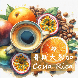 【老譚咖啡】*中美洲莊園單品* 哥斯大黎加 莫札特 #淺中焙 #精品咖啡豆 #手沖咖啡 #濾掛咖啡 #平價咖啡推薦