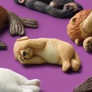 現貨免運zoozoozoo休眠動物園 轉蛋扭蛋 狗 睡覺 遮眼睛 不可視 狗狗模型公仔 睡覺的狗 黃金獵犬