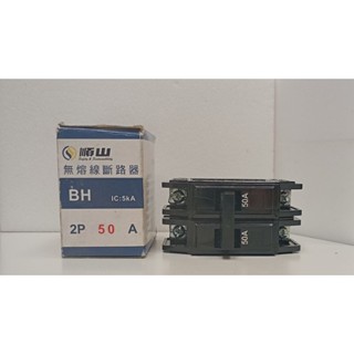 順山無熔線斷路器BH 2P 50A