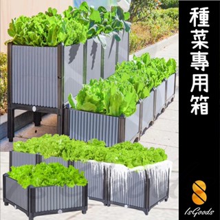 蔬菜箱 陽臺種菜 種植箱 種菜箱 栽培箱 種菜神器 陽臺種菜 種菜盆 菜盆 (好熱銷🔥)_☆IsGoods 94好買☆